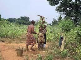 Marabout africain gratuit 2